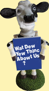 cow.jpg